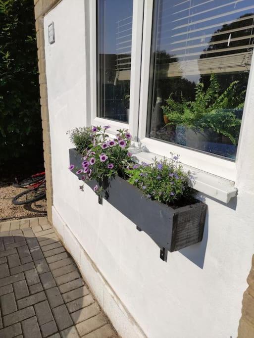 The Old Bar In Wiltshire - 1 Bedroom Guesthouse Chippenham  Exterior photo